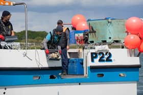 Blue Marine team putting the oysters into their new home in the harbour.