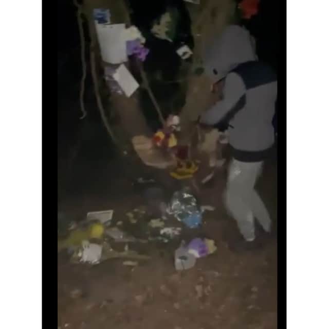The shocking moment that Ryan Edwards, 18, of Fox Close in Warsash, destroyed a memorial to two young boys who died in fatal car collision.