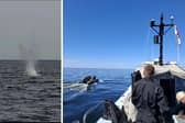 Divers from the Portsmouth-based Diving and Threat Exploitation Group destroyed a historic ordnance that has been on the seabed during both World Wars.