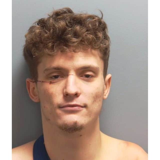 David Ward, 23, of Queens Road in Gosport, was sentenced for several offences perpetrated in Gosport in December 2024 at Portsmouth Crown Court on May 11.