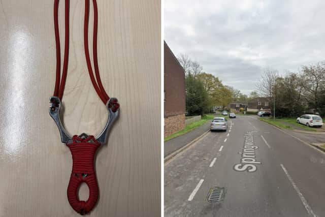 Three children were frogmarched home to their parents after reports of them firing projectiles at wildlife and distressing the public.