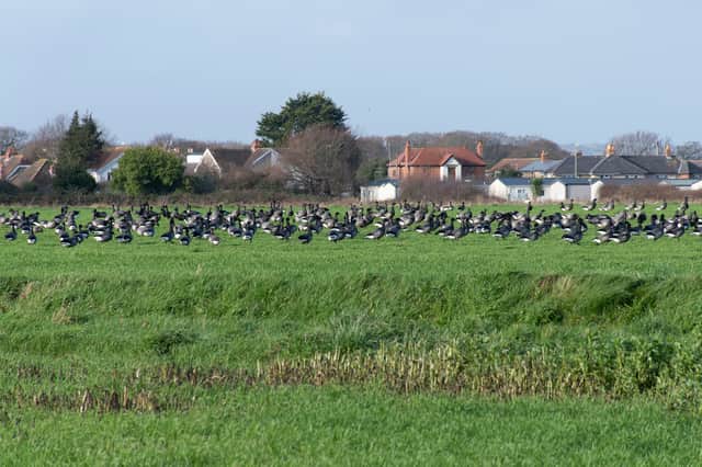Rook Farm site, Hayling Island