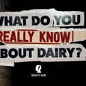 Viva!'s new documentary will be the UK's first to challenge decades of 'dairy industry spin'
