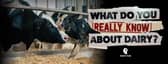Viva!'s new documentary will be the UK's first to challenge decades of 'dairy industry spin'
