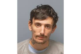 Harry Wild, 29, of Partridge Gardens, Waterlooville was sentenced to 54 weeks in prison.