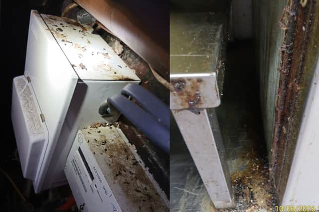 A Portsmouth food business has been closed after Environmental Health Officers uncovered an active mouse infestation posing an imminent risk to public health.

Pictured: Inside Paanchi, Fratton Road