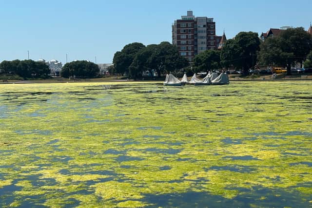 Canoe Lake