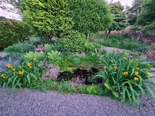 Siskin Lodge Wildlife Garden in Llanwrtyd Wells will also be opening