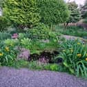 Siskin Lodge Wildlife Garden in Llanwrtyd Wells will also be opening