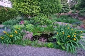 Siskin Lodge Wildlife Garden in Llanwrtyd Wells will also be opening