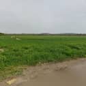 Land in Southbourne which could be used for housing