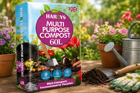 The Hardys 60L Multi Purpose Compost is suitable for seeds, containers, raised beds and indoor plants