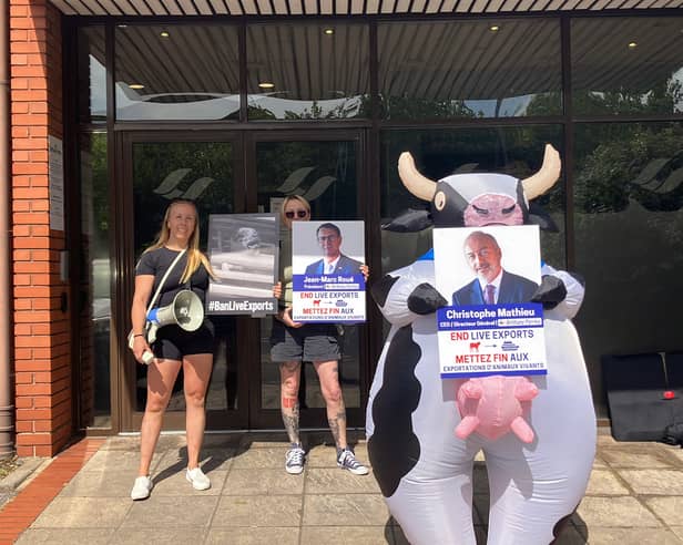 An animal rights protest outside Brittany Ferries offices in Portsmouth, demonstrating against live animal exports