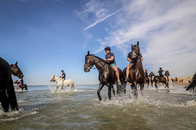 Pictured: Horses and soldiers of the Household Cavalry Mounted Regiment training at Hayling Island Beach.