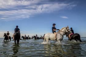 The King's Household Cavalry Mounted Regiment training at Hayling Island Beach on the morning of July 3.
