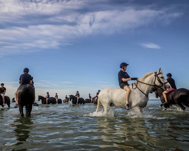 The King's Household Cavalry Mounted Regiment training at Hayling Island Beach on the morning of July 3.