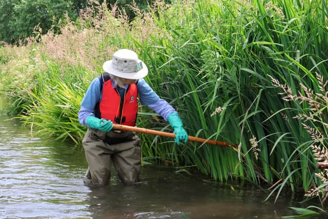 River Meon conservation volunteer. Picture: Helen Skelton-Smith