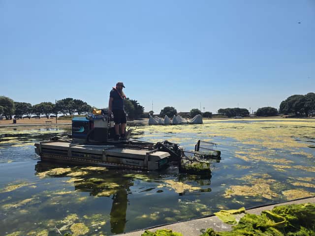 Clear up operation underway at Canoe Lane which has been filled with algae blooms