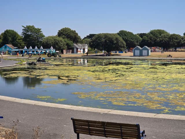 Clear up operation underway at Canoe Lane which has been filled with algae blooms