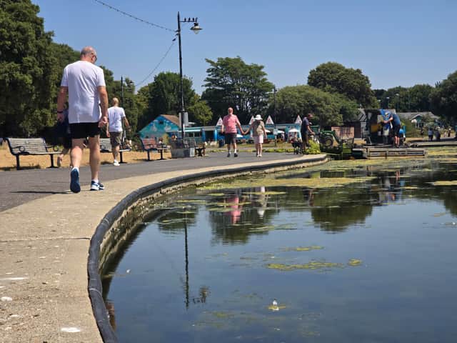 Clear up operation underway at Canoe Lane which has been filled with algae blooms