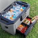 The Ninja FrostVault 47L cool box has a separate Dry Zone drawer and can keep ice for up to five days