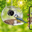 This is one of the cheapest smart bird feeders on sale right now