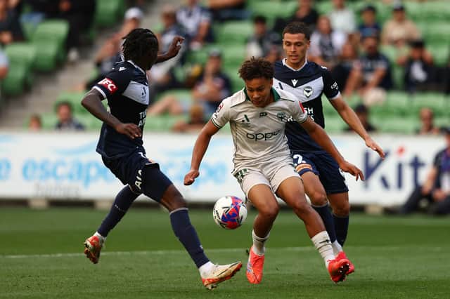 Wellington Phoenix winger Luke Brooke-Smith. Pic: Getty