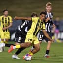 Wellington Phoenix winger Luke Brooke-Smith is on his way to Pompey. Picture: Getty