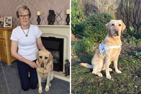 Sue Taylor with her Labrador guide dog, Haven.