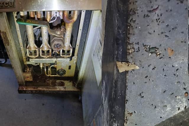 Shake & Burger, Portsmouth, has been closed after an active mouse infestation was identified.