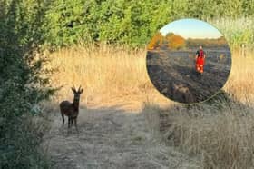 A grassland fire took place  at 6pm on Sunday, July 19 at Alver Valley Country Park.