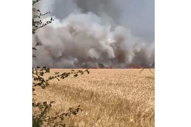 Hayling Island fire
