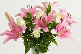 Rose & Lily Chic