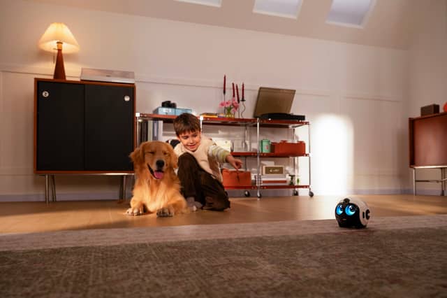 The Enabot Ebo Max combines a 4K mobile camera, two-way calls and pet tracking in one compact home robot.