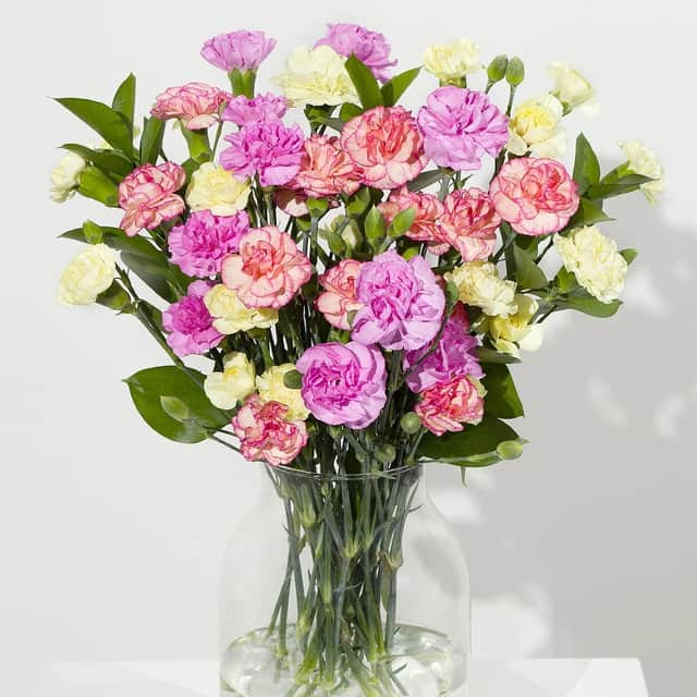 Summer Cascade Letterbox flowers