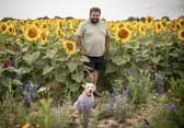 Sam' Sunflower field is due to open on the weekend of 25th July 2026
Pictured:Owner Sam Wilson and his dog Piper 
Picture: Habibur Rahman