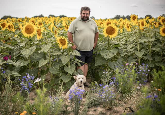 Sam' Sunflower field is due to open on the weekend of 25th July 2026
Pictured:Owner Sam Wilson and his dog Piper 
Picture: Habibur Rahman