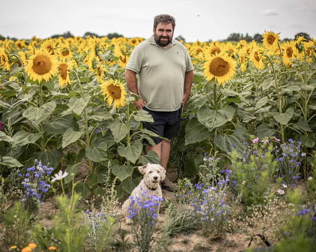 Sam' Sunflower field is due to open on the weekend of 25th July 2026
Pictured:Owner Sam Wilson and his dog Piper 
Picture: Habibur Rahman