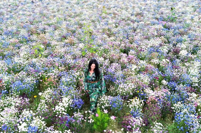 Pictured: Tilly Beresford on the field at Sam's Sunflowers
Picture: Habibur Rahman