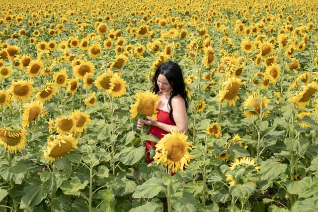 Pictured: Tilly Beresford on the field at Sam's Sunflowers
Picture: Habibur Rahman