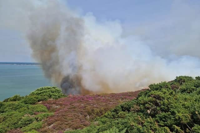 Gorse Fire at Headon Warren, West Wight