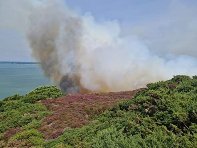 Gorse Fire at Headon Warren, West Wight
