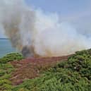 Gorse Fire at Headon Warren, West Wight