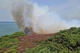 Gorse Fire at Headon Warren, West Wight