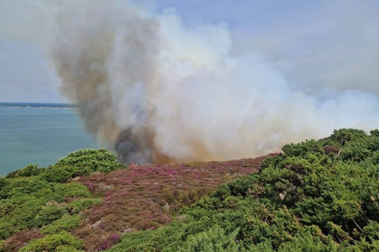 Gorse Fire at Headon Warren, West Wight