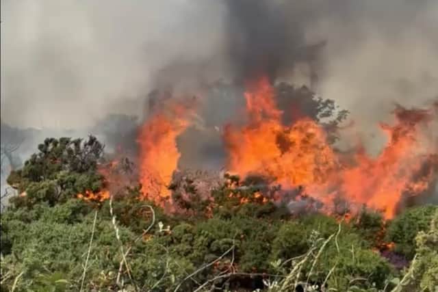 Fire at Headon Warren on the Isle of Wight