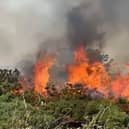 Fire at Headon Warren on the Isle of Wight