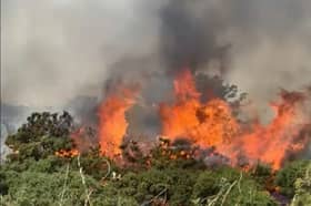 Fire at Headon Warren on the Isle of Wight