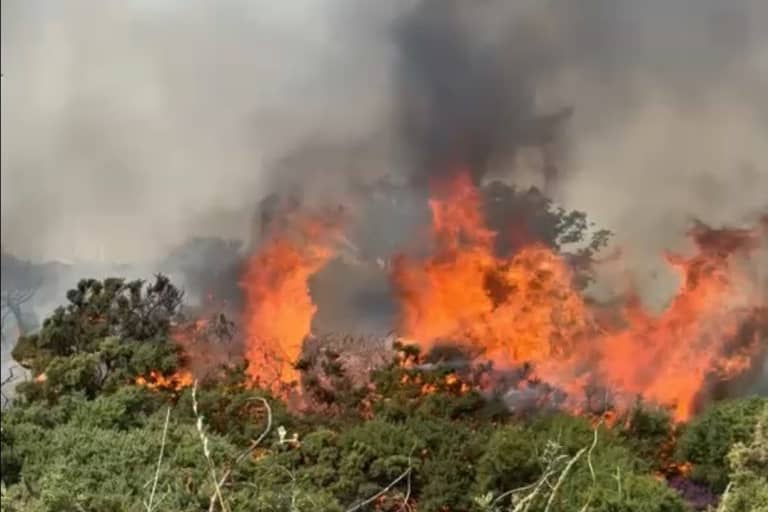 Fire at Headon Warren on the Isle of Wight