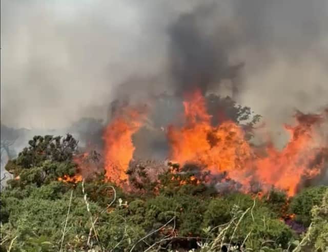 Fire at Headon Warren on the Isle of Wight